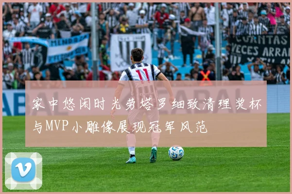 家中悠闲时光劳塔罗细致清理奖杯与MVP小雕像展现冠军风范